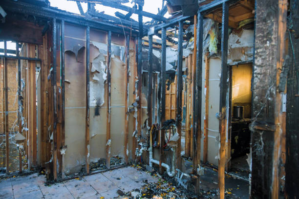 Professional Fire Damage Assessment technician working in Woodbury, MN